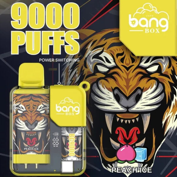 Bang Box 9000 Puffs 0% 2% 3% 5% Nikotiini Ladattava LED Pover Display Kertakäyttöinen Vape Tukkumyynti - BaseVape - 2