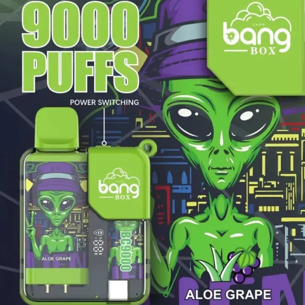 Bang Box 9000 Puffs 0% 2% 3% 5% Nikotiini Ladattava LED Pover Display Kertakäyttöinen Vape Tukkumyynti - BaseVape - 5