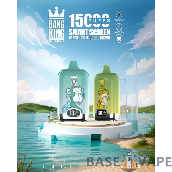 Bang King smartscreen 15000 Puffar 0% 2% 3% 5% Nikotinuppladdningsbar disponibel vape grossist - BaseVape - 1