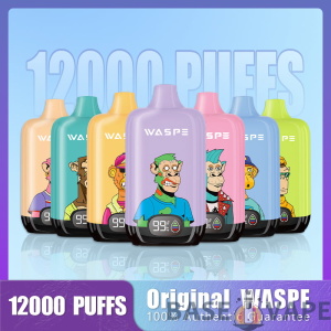 Цифровая коробка WASPE 12000 PUFFS 0% 2% 3% 5% Никотиновая одноразовая вейп оптом
