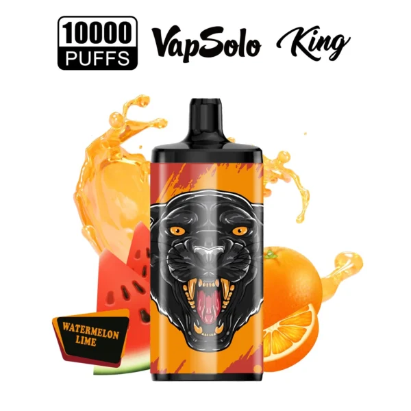 Vapsolo King 10000 Suihketta 2% 5% Vähä Nikotiini Ladattava Kertakäyttöinen Vapes Pen Bulk Tukkumyynti - BaseVape - 18