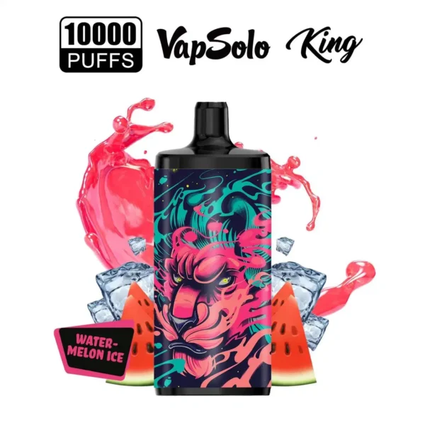 Vapsolo King 10000 Suihketta 2% 5% Vähä Nikotiini Ladattava Kertakäyttöinen Vapes Pen Bulk Tukkumyynti - BaseVape - 19